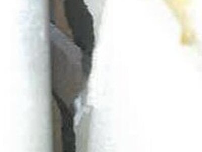 大阪府東大阪市 石切駅20分 戸建て 377万円の競売物件 #10