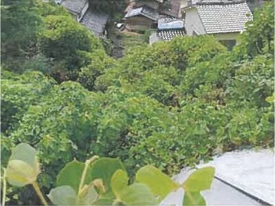広島県広島市西区 西広島駅5分 土地 4,021万円の競売物件 #5
