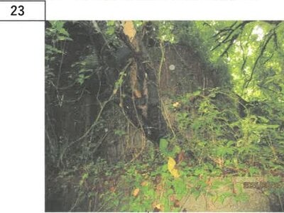 徳島県吉野川市 阿波山川駅18分 戸建て 243万円の競売物件 #15