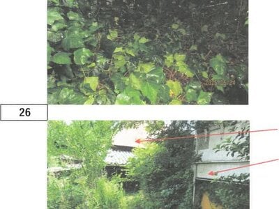 徳島県吉野川市 阿波山川駅18分 戸建て 243万円の競売物件 #17