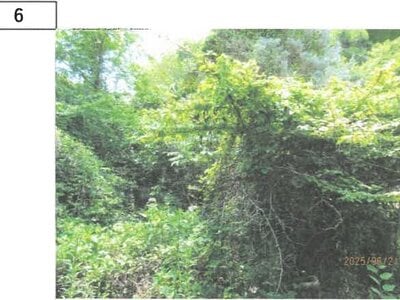 徳島県吉野川市 阿波山川駅18分 戸建て 243万円の競売物件 #4