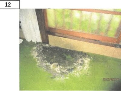 徳島県吉野川市 阿波山川駅18分 戸建て 243万円の競売物件 #8