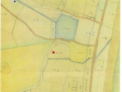 徳島県鳴門市 阿波大宮駅 農地 58万円の競売物件 #5