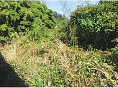 熊本県宇城市 松橋駅 戸建て 454万円の競売物件 #11