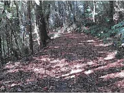 熊本県宇城市 松橋駅 戸建て 454万円の競売物件 #34