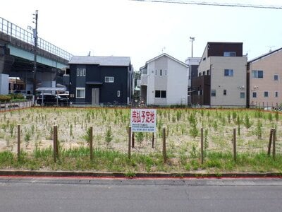 静岡県静岡市清水区 狐ヶ崎駅27分 農地 5,180万円の国有財産物件 #1