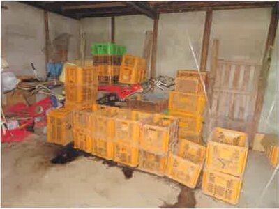 群馬県渋川市 敷島駅 戸建て 805万円の競売物件 #12