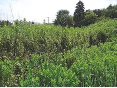 千葉県大網白里市 永田駅6分 土地 507万円の競売物件 #3