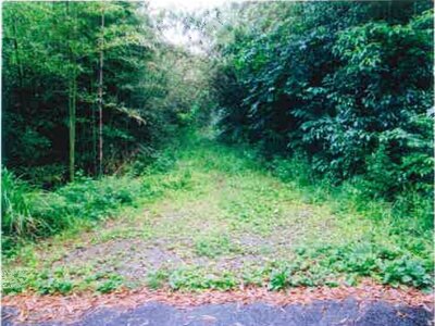 千葉県長生郡睦沢町 上総一ノ宮駅 土地 9万円の競売物件 #1