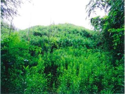 千葉県長生郡睦沢町 上総一ノ宮駅 土地 9万円の競売物件 #2