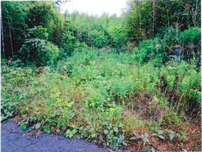 千葉県長生郡睦沢町 上総一ノ宮駅 土地 9万円の競売物件 #3