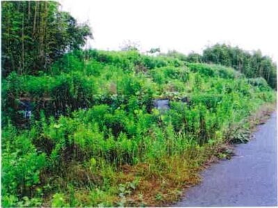 千葉県長生郡睦沢町 上総一ノ宮駅 土地 9万円の競売物件 #4