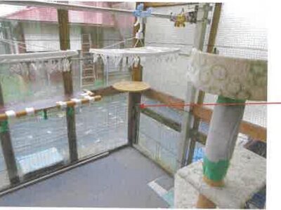 千葉県茂原市 茂原駅11分 戸建て 3,067万円の競売物件 #10