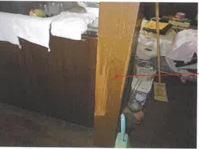 千葉県長生郡白子町 本納駅 戸建て 155万円の競売物件 #8