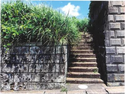 神奈川県秦野市 秦野駅8分 土地 853万円の競売物件 #2