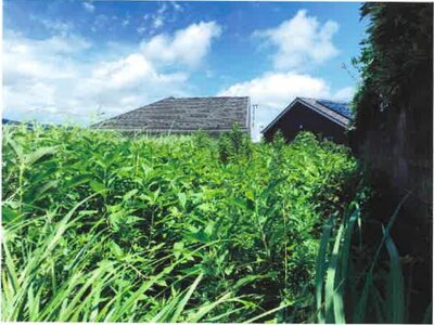 神奈川県秦野市 秦野駅8分 土地 853万円の競売物件 #4