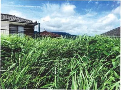 神奈川県秦野市 秦野駅8分 土地 853万円の競売物件 #5