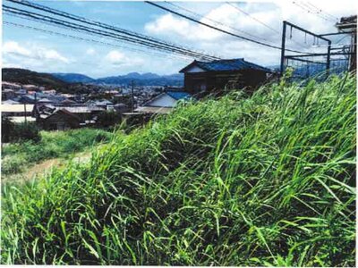 神奈川県秦野市 秦野駅8分 土地 853万円の競売物件 #6