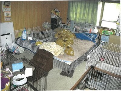 岐阜県関市 洲原駅 戸建て 288万円の競売物件 #13