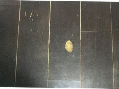 岐阜県岐阜市 岐阜駅15分 マンション「BELISTA岐阜香蘭」1,167万円の競売物件 #15