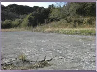 静岡県牧之原市 土地 562万円の競売物件 #1