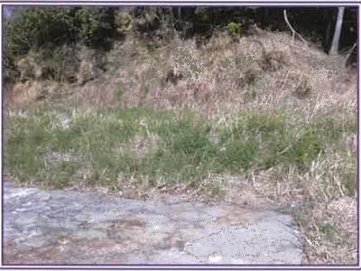 静岡県牧之原市 土地 562万円の競売物件 #5