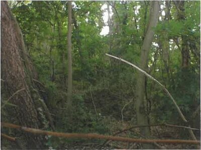 青森県三戸郡階上町 種差海岸駅 土地 15万円の競売物件 #2