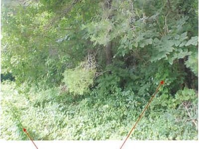 青森県三戸郡階上町 種差海岸駅 土地 15万円の競売物件 #3