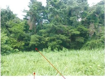 青森県三戸郡階上町 種差海岸駅 土地 15万円の競売物件 #4