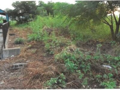 埼玉県児玉郡神川町 丹荘駅22分 農地 78万円の競売物件 #2