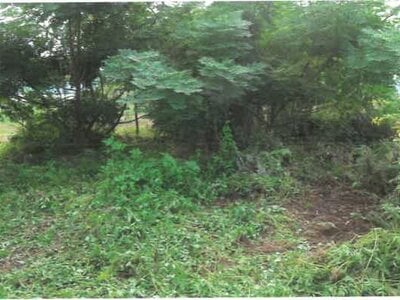 埼玉県児玉郡神川町 丹荘駅22分 農地 78万円の競売物件 #3