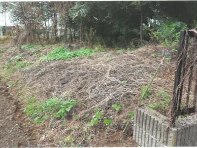 埼玉県児玉郡神川町 丹荘駅22分 農地 78万円の競売物件 #4