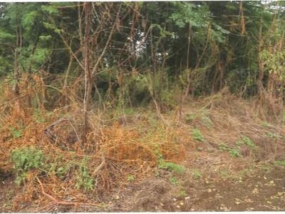 埼玉県児玉郡神川町 丹荘駅22分 農地 78万円の競売物件 #5