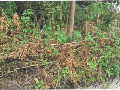 埼玉県児玉郡神川町 丹荘駅22分 農地 78万円の競売物件 #6