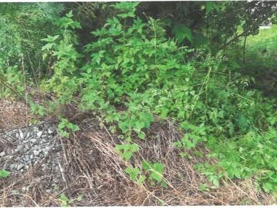 埼玉県児玉郡神川町 丹荘駅22分 農地 78万円の競売物件 #7