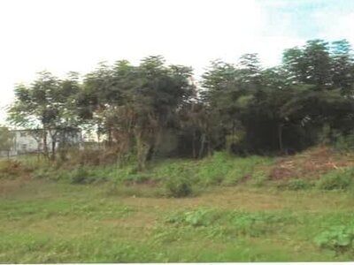 埼玉県児玉郡神川町 丹荘駅22分 農地 78万円の競売物件 #8