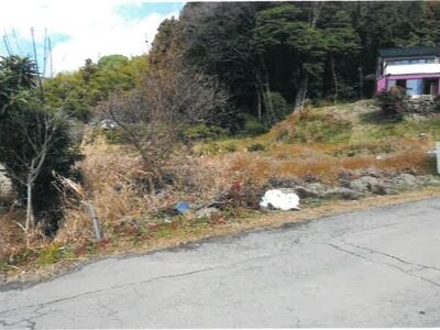 埼玉県比企郡ときがわ町 明覚駅13分 農地 10万円の競売物件 #1