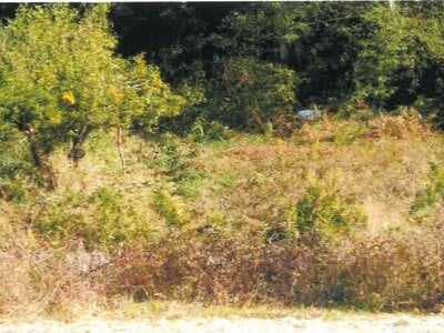 埼玉県比企郡ときがわ町 明覚駅13分 農地 10万円の競売物件 #3