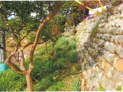 埼玉県比企郡ときがわ町 明覚駅13分 農地 10万円の競売物件 #5