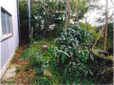 千葉県銚子市 銚子駅20分 土地 64万円の競売物件 #4