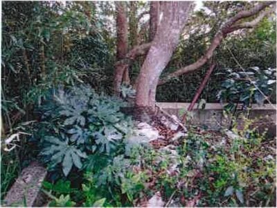 千葉県銚子市 銚子駅20分 土地 64万円の競売物件 #5