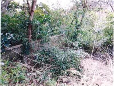 千葉県銚子市 銚子駅20分 土地 64万円の競売物件 #6