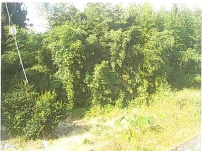 静岡県賀茂郡東伊豆町 伊豆稲取駅7分 戸建て 401万円の競売物件 #11