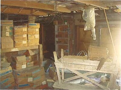 静岡県賀茂郡東伊豆町 伊豆稲取駅7分 戸建て 401万円の競売物件 #16