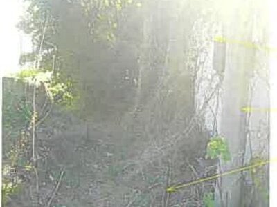 静岡県賀茂郡東伊豆町 伊豆稲取駅7分 戸建て 401万円の競売物件 #5