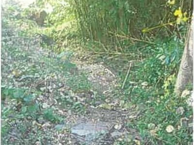 静岡県賀茂郡東伊豆町 伊豆稲取駅7分 戸建て 401万円の競売物件 #6