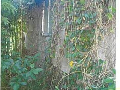 静岡県賀茂郡東伊豆町 伊豆稲取駅7分 戸建て 401万円の競売物件 #7