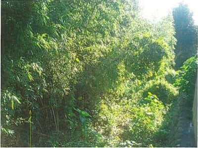 静岡県賀茂郡東伊豆町 伊豆稲取駅7分 戸建て 401万円の競売物件 #8