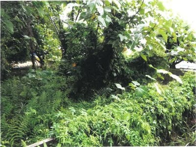 宮崎県宮崎市 日向沓掛駅13分 戸建て 100万円の競売物件 #20