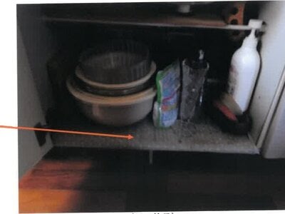 宮崎県延岡市 旭ヶ丘駅23分 戸建て 262万円の競売物件 #6